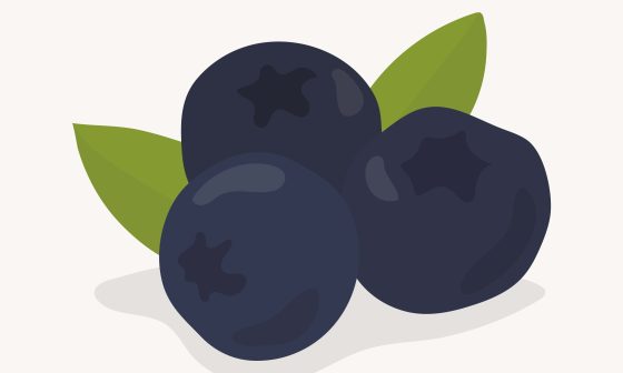 Hand-illustrated blueberries in an artistic rendering