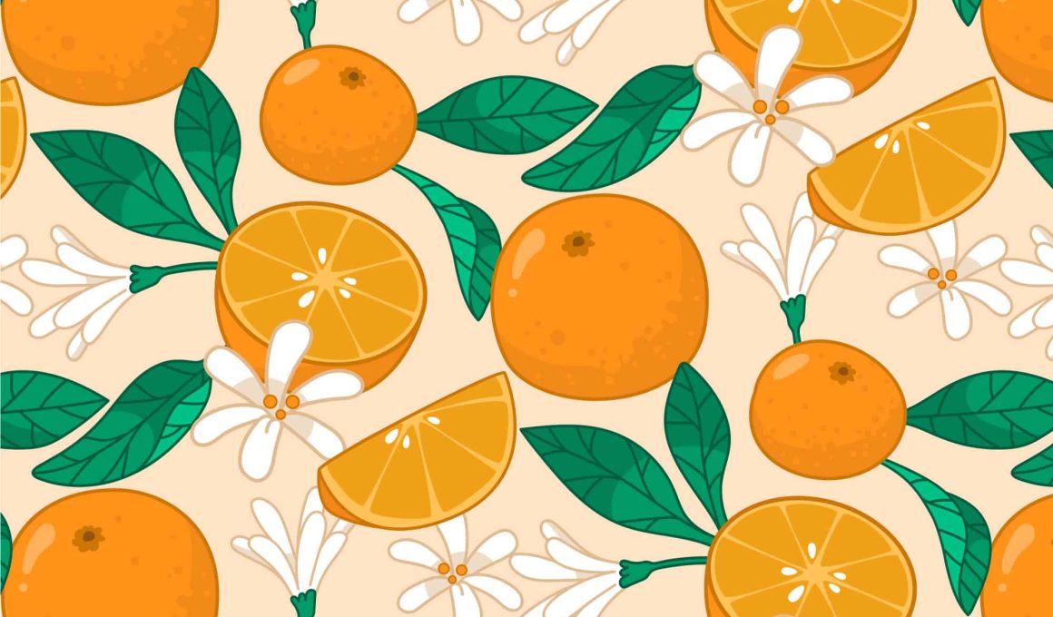 Sketch-style design of oranges in a fruit pattern