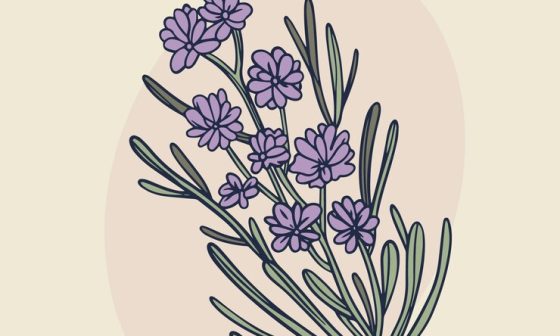 Artistic hand-drawn depiction of lavender, showcasing the plant's flowers and stems