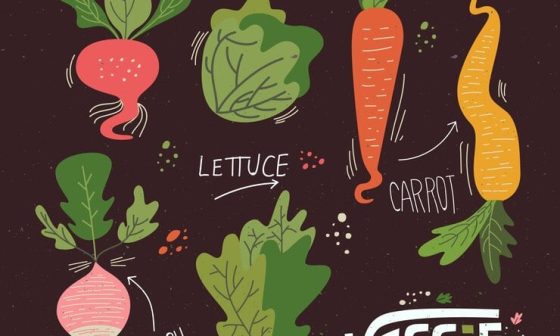 Hand-drawn illustration of various vegetables accompanied by the word "vegetable" in a creative font