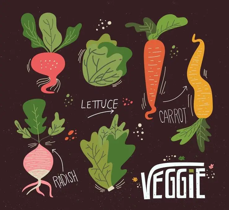 Hand-drawn illustration of various vegetables accompanied by the word "vegetable" in a creative font