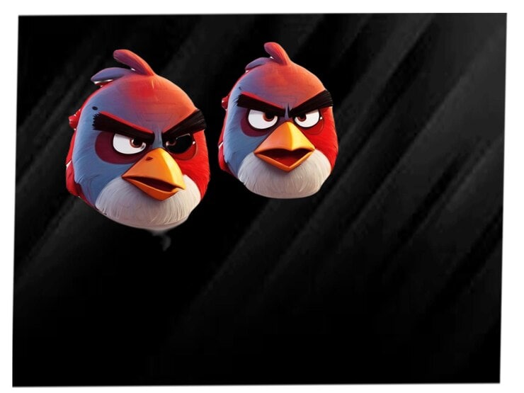 Two angry birds perched on a black background, their fierce expressions contrasting sharply with the dark setting.